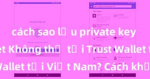 cách sao lưu private key trust wallet Không thể tải Trust Wallet tại Việt Nam? Cách khắc phục