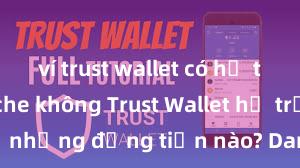 ví trust wallet có hỗ trợ avalanche không Trust Wallet hỗ trợ những đồng tiền nào? Danh sách đầy đủ